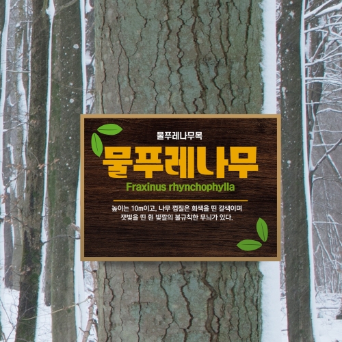 고급형 수목표찰 부착 사각