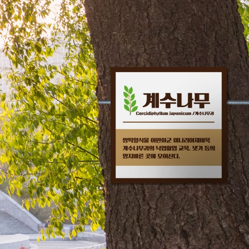 고급형 수목표찰 부착 사각