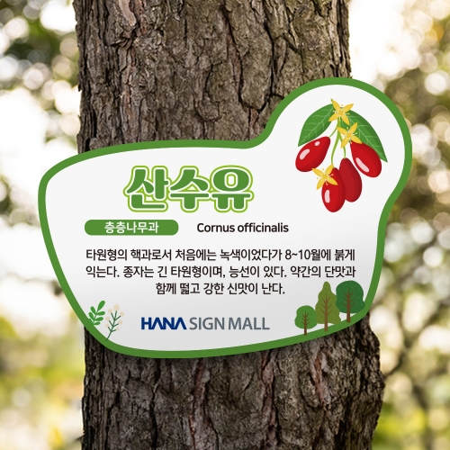 고급형 수목표찰 부착 형태
