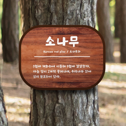 고급형 수목표찰 부착 형태