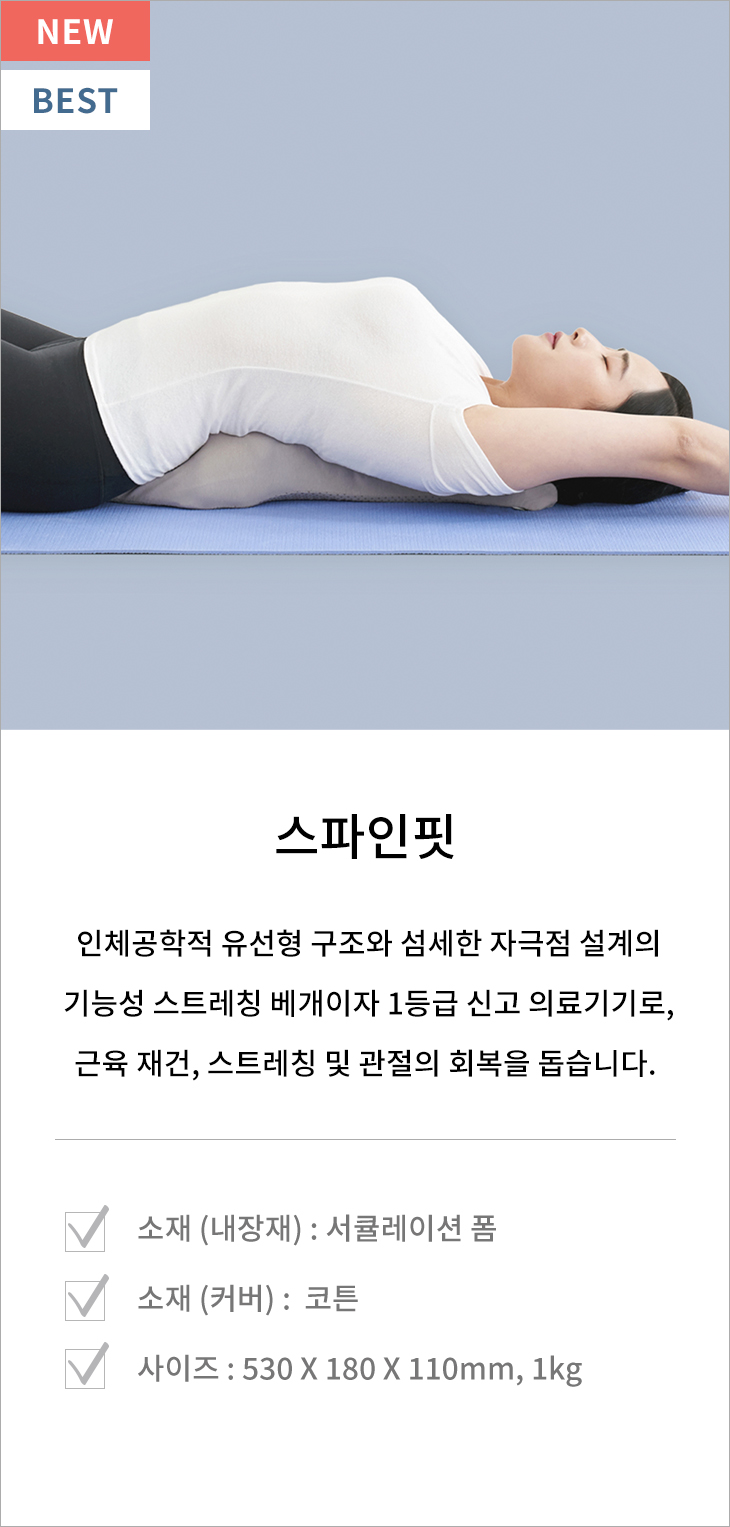 스파인핏