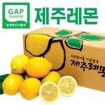 제주레몬 3kg /5kg (GAP인증)