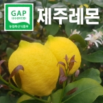 제주레몬 3kg /5kg (GAP인증)