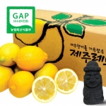 제주레몬 3kg /5kg (GAP인증)