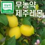 무농약 제주레몬 3kg /5kg (무농약인증)