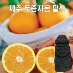 제주 자몽 팔삭 9kg