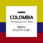 콜롬비아 안티오키아 라 팔다