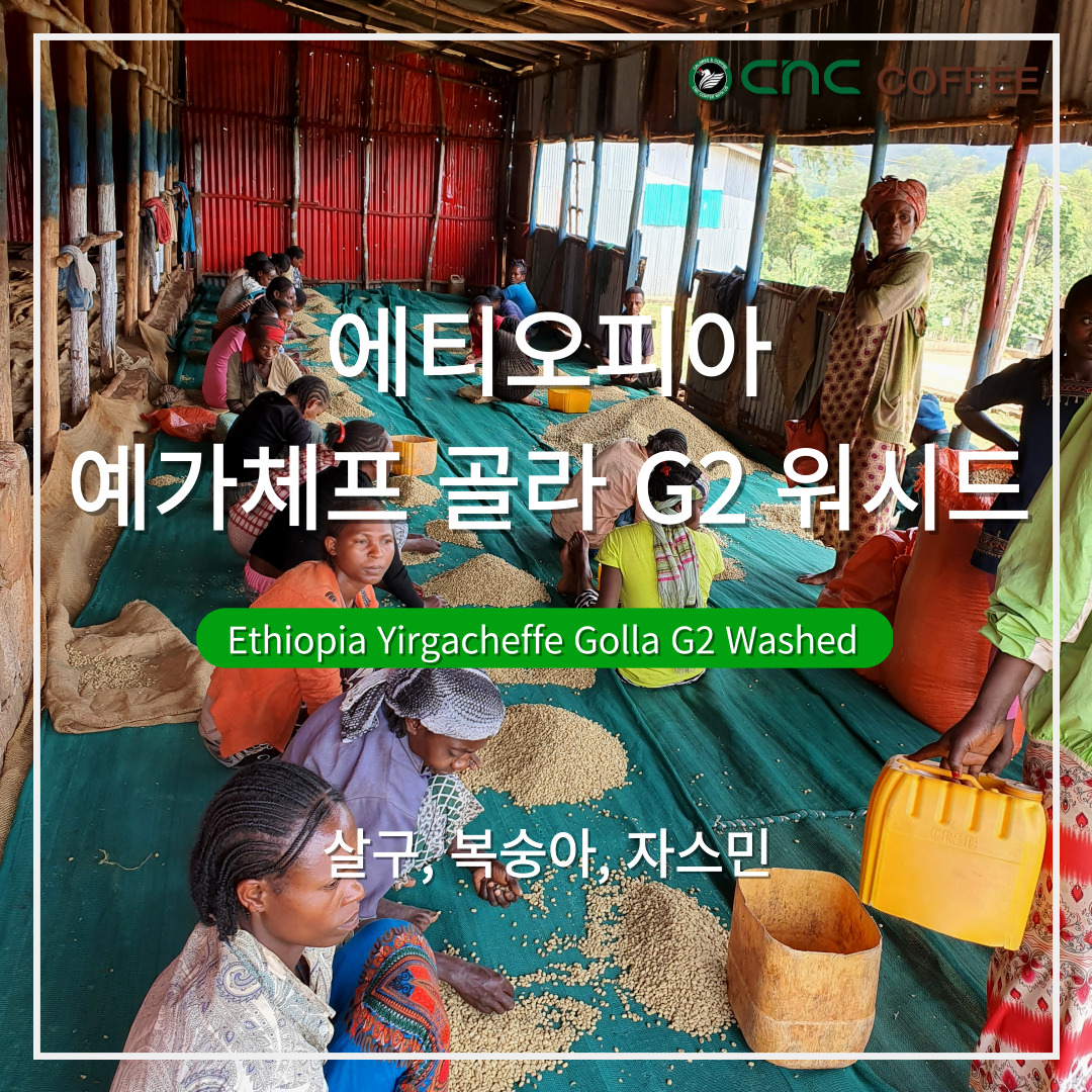 에티오피아 예가체프 골라 G2 워시드