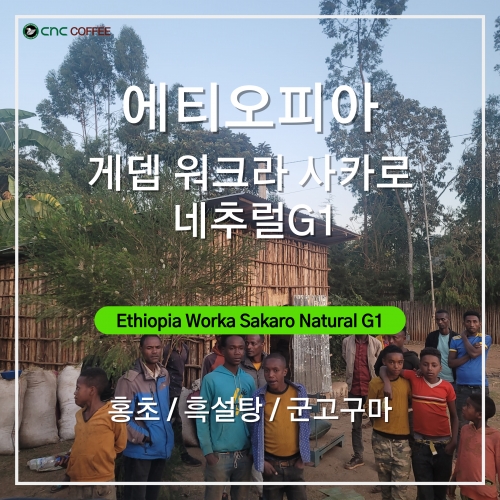 에티오피아 게뎁 워크라 사카로 네추럴 G1