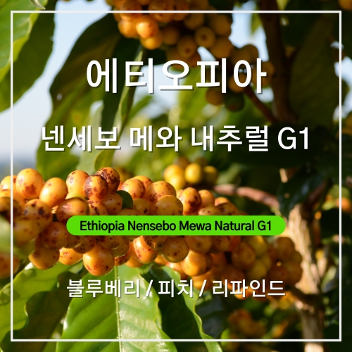 에티오피아 넨세보 메와 내추럴 G1