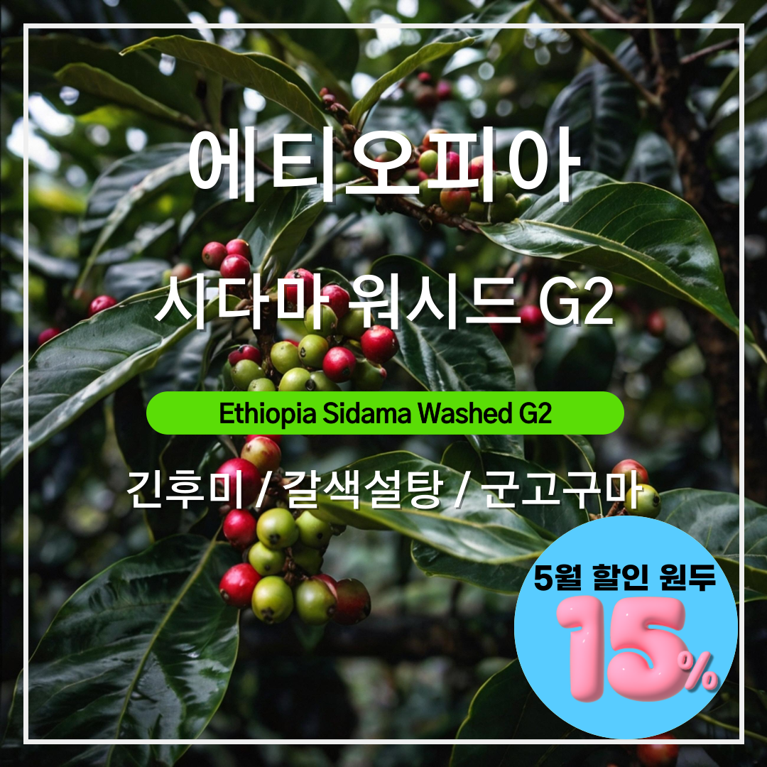 에티오피아 시다마 워시드 G2