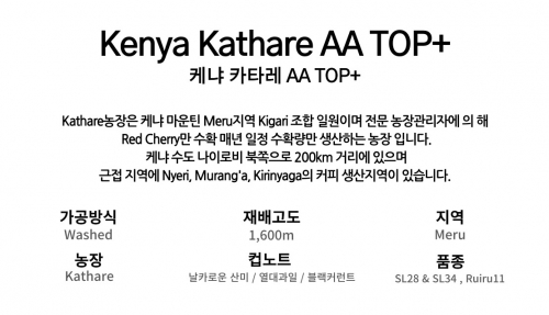 케냐 카타레 AA TOP+ 워시드