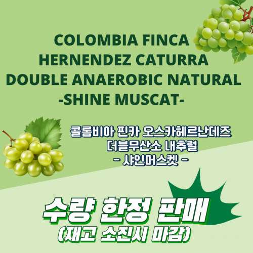 콜롬비아 핀카 오스카헤르난데즈  더블 무산소 내추럴(100g)