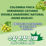 콜롬비아 핀카 오스카헤르난데즈  더블 무산소 내추럴(100g)