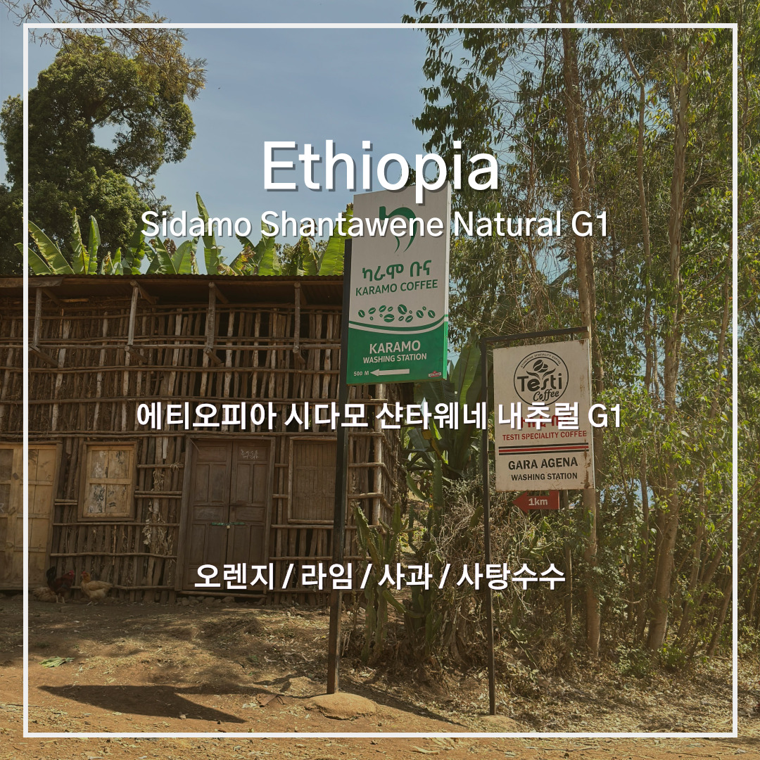 에티오피아 시다모 샨타웨네 내추럴 G1