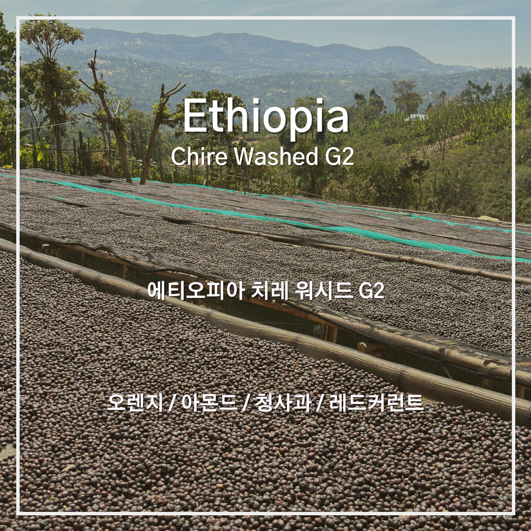 에티오피아 치레 워시드 G2
