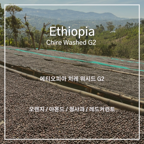 에티오피아 치레 워시드 G2