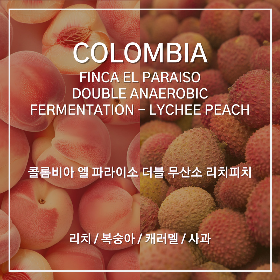 콜롬비아 엘 파라이소 더블 무산소 리치피치