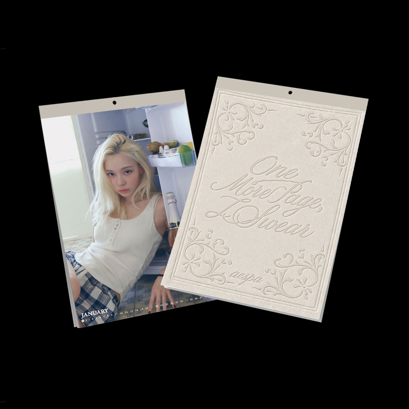 aespa 2027 Wall Calendar - photo 2