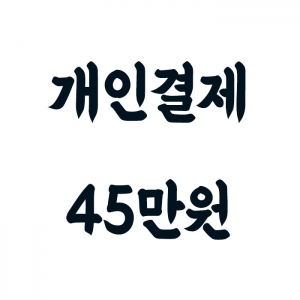 개인결제 45만원