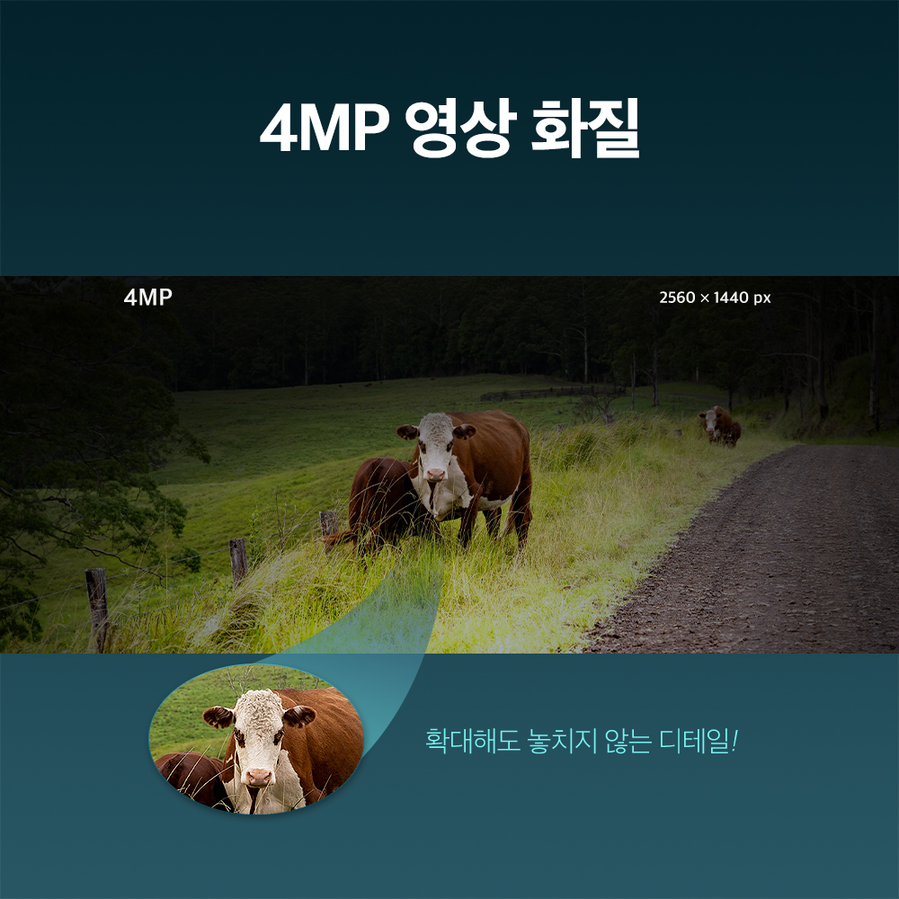 티피링크 VIGI C540-4G