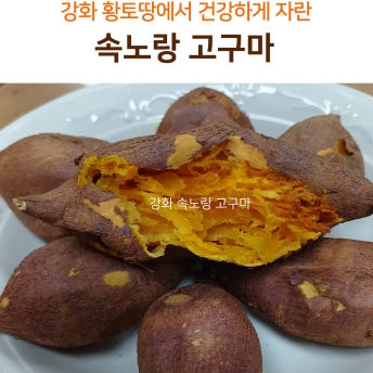 강화 속노랑고구마 5kg, 10kg