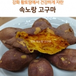 강화 속노랑고구마 5kg, 10kg