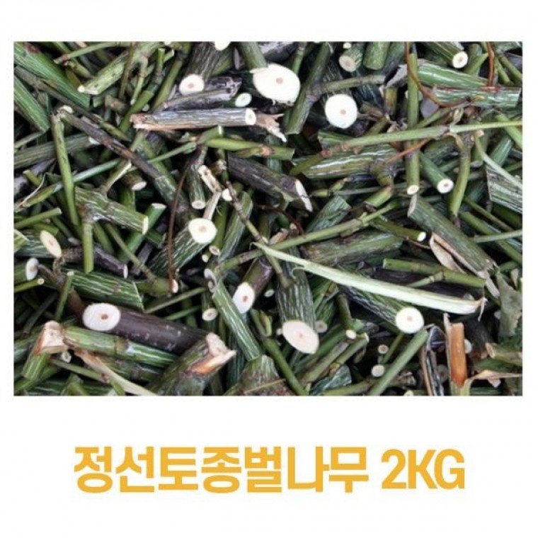 간에좋은나무 벌나무가지 정선토종벌나무 벌나무 2kg