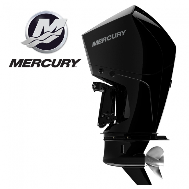 MERCURY 머큐리 250마력 V8 선외기 보트엔진