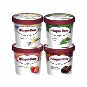 하겐다즈 미니 4종세트 (각6개씩 총 24개)