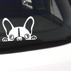 희망S 페리토린다 차량용스티커 / 초보운전 자동차