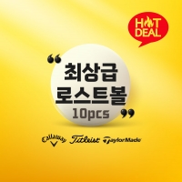 [중고] 로스트볼 유명 브랜드별 A A-등급 골프공 라운딩용 [10구]
