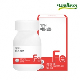 웰러스 바른 철분 740mg x 90정