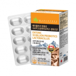 메이플트리 장용성 100억 프로바이오틱스 생유산균 500mg x 60캡슐