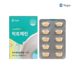 유유제약 락토페린 500mg x 60정