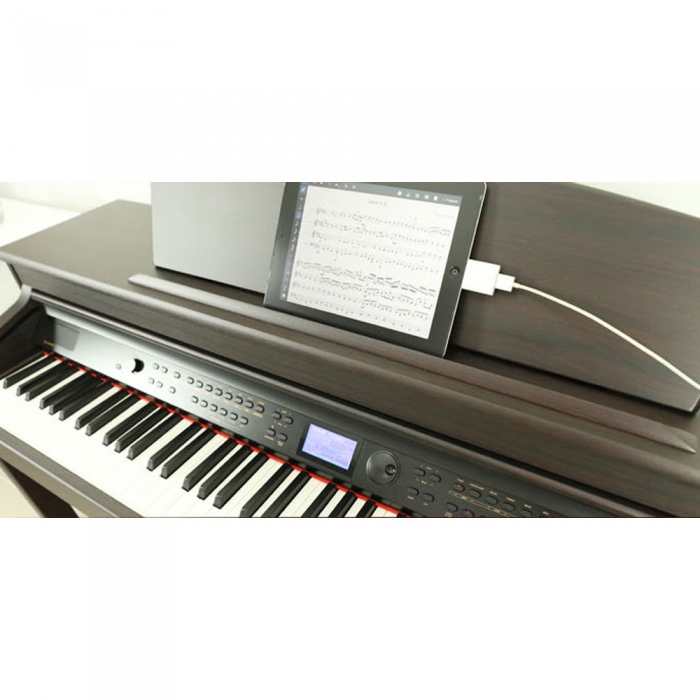 다이나톤 디지털피아노 DPR-3500 DPR3500 목건반 공식대리점 정품
