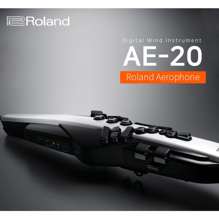 롤랜드 전자 색소폰 에어로폰 AE20 AE-20