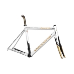 다꼬르디 로드 프레임 디보 화이트&골드 (Daccordi Road Frame DIVO White&Gold)