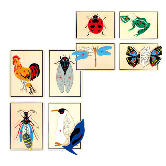 동물부위 손잡이퍼즐 세트(8종) -나비, 벌, 무당벌레 ,잠자리, 닭, 펭귄, 매미;,개구리 꼭지퍼즐