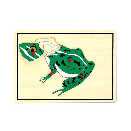 개구리부위 손잡이퍼즐 / 개구리꼭지퍼즐