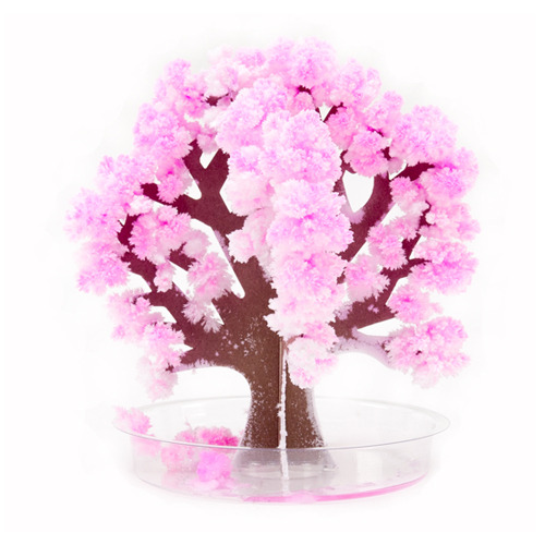 [코끼리밥][요술꽃나무 30915] 요술벚꽃(Crystal Cherry Blossom)