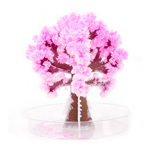 [코끼리밥][요술꽃나무 30913] 요술벚꽃미니(Crystal Cherry Blossom Mini)