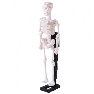 [나노블럭] HUMAN SKELETON 490pcs / 인체위 뼈 조립블럭 / 레벨 5단계 나노블럭