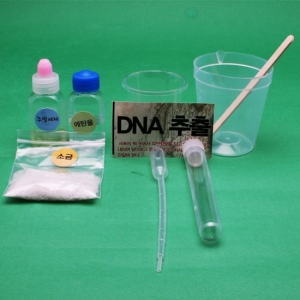 DNA추출 만들기 10인세트 (2개) / 유전자 / 세포핵 / 2중 나선구조 DNA