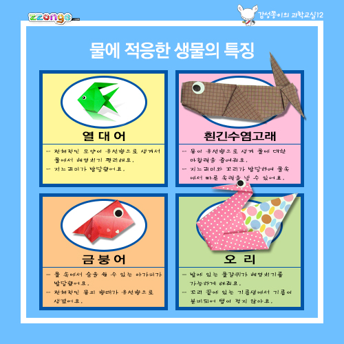 [STEAM & smart] 감성쫑이의 과학교실12 : 환경과 생물(10묶음)