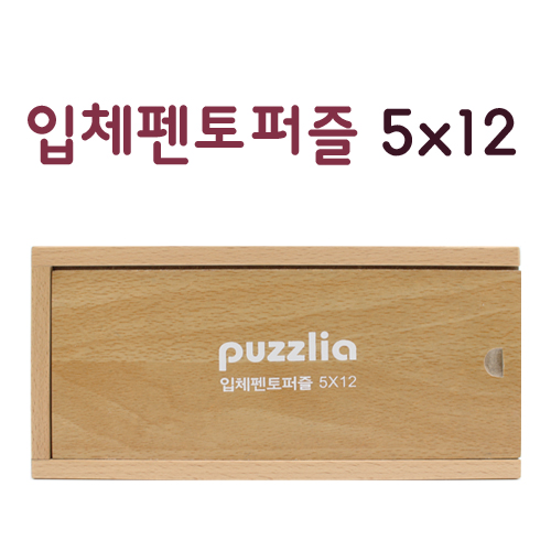 [퍼즐리아] 입체펜토퍼즐 5X12 / 원목 입체펜토퍼즐 / 기하학적 도형이해 / 수학적 사고력, 공간지각력, 창의력, 집중력