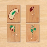 콩성장퍼즐 (4종) / 콩의 부분명칭 퍼즐 / 콩성장목재퍼즐