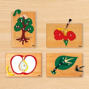 식물퍼즐세트(4종) -나무, 꽃, 나뭇잎, 사과 / 식물의 각부분 명칭 퍼즐 / 식물 목재 퍼즐