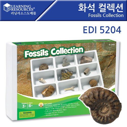 [EDI5204]화석 컬렉션