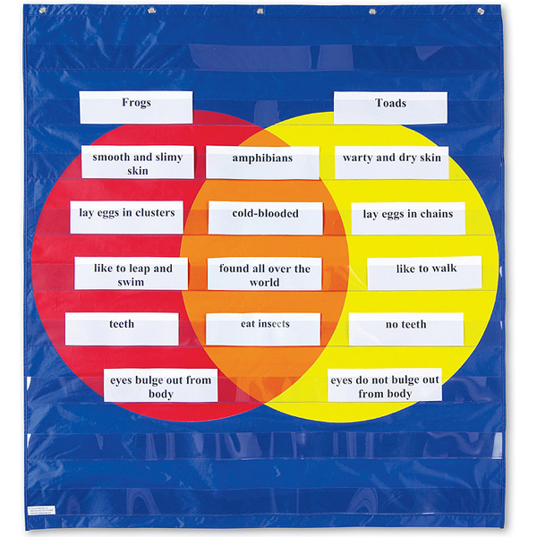 [EDU 1951] 그래픽 오거나이져 포켓차트 Graphic Organizer Pocket Chart / 양면 포켓차트로 영어와 수 공부를 한번에! / 영어학습교구